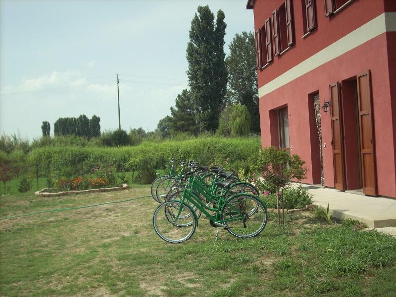 B&B da Toni - Genel
