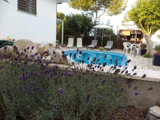 Gens Mundi B&B fotoÄŸrafÄ±