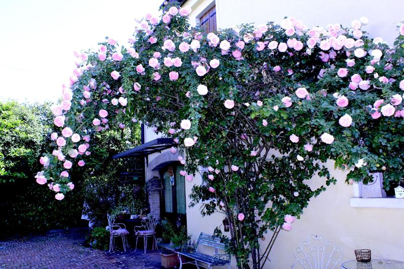 Casa Camilla - Genel