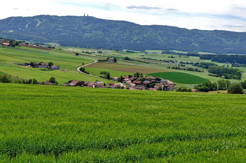Gasthof Altmann - Aktivite