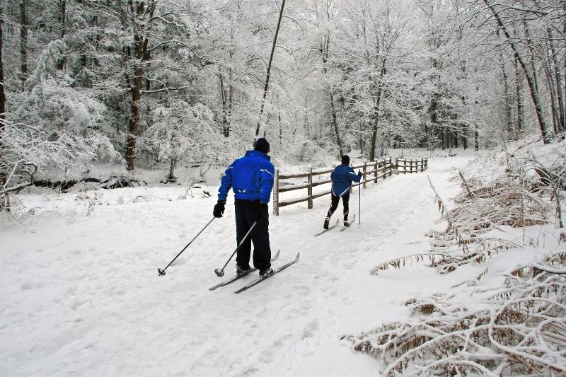 Gasthof Tannzapfenland - Aktivite