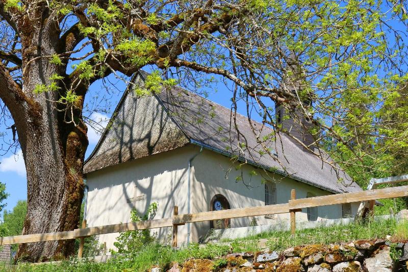 Gasthof Tannzapfenland - Aktivite