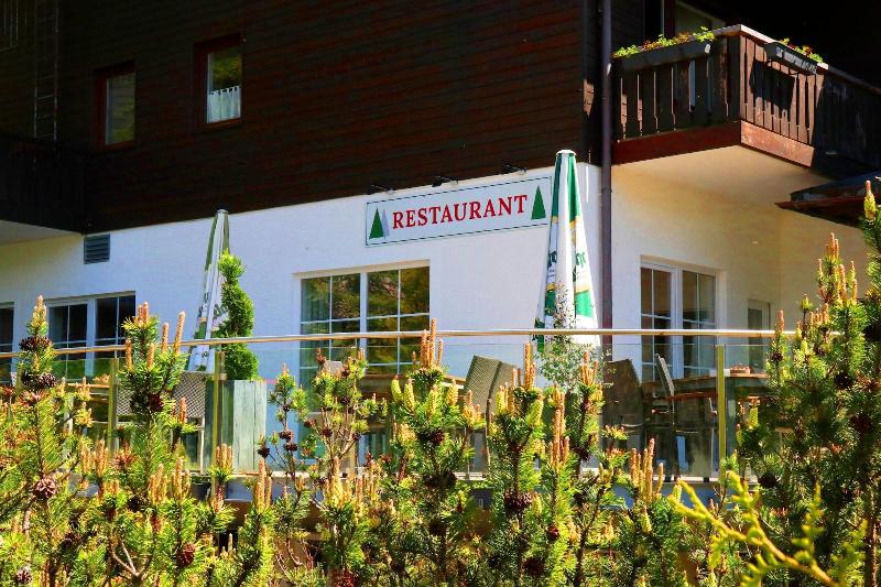 Gasthof Tannzapfenland - Genel