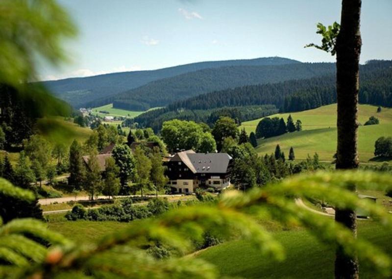 Gasthof Tannzapfenland - Genel