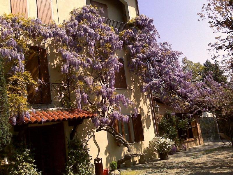 Country Hotel Le Querce - Genel