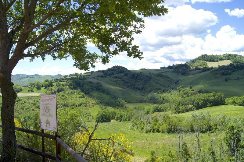 La Valle Dei Caprioli - B&B - Aktivite