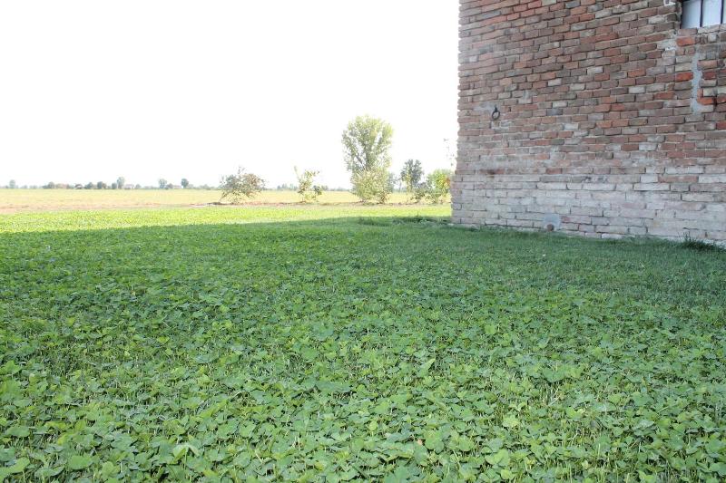 Antico Casale Caroli - Genel
