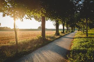 Zum Vater Rhein fotoÄŸrafÄ±