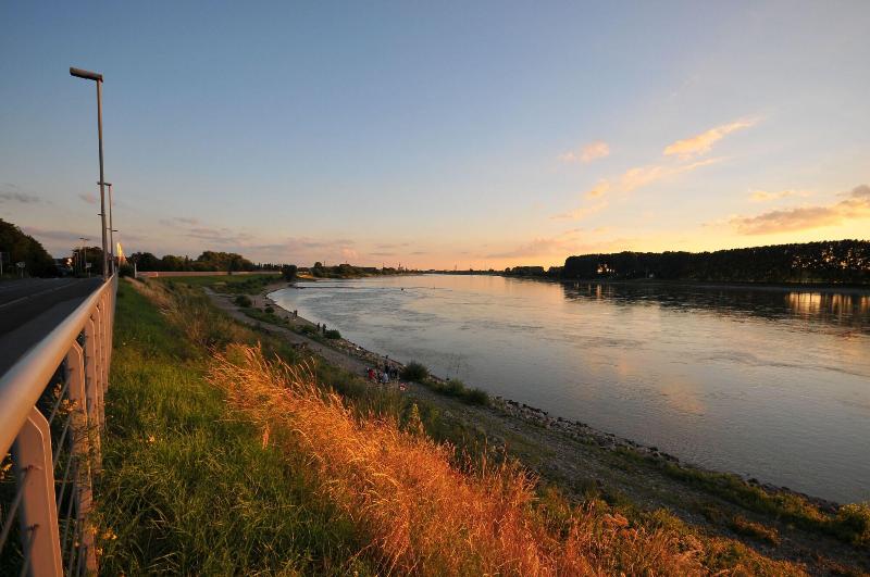 Zum Vater Rhein - Genel