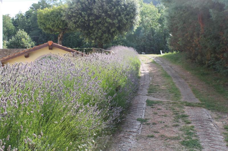 Hotel Croce Di Savoia - Genel