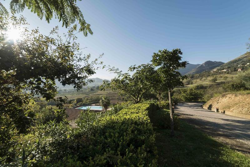 Tenuta D'Amore - Genel