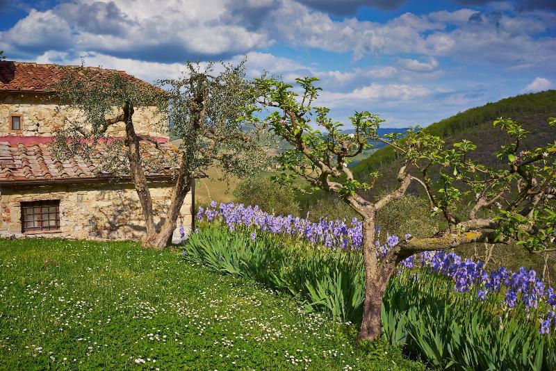 Querceto Di Castellina - Genel
