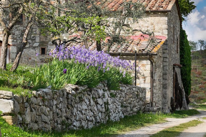 Querceto Di Castellina - Genel