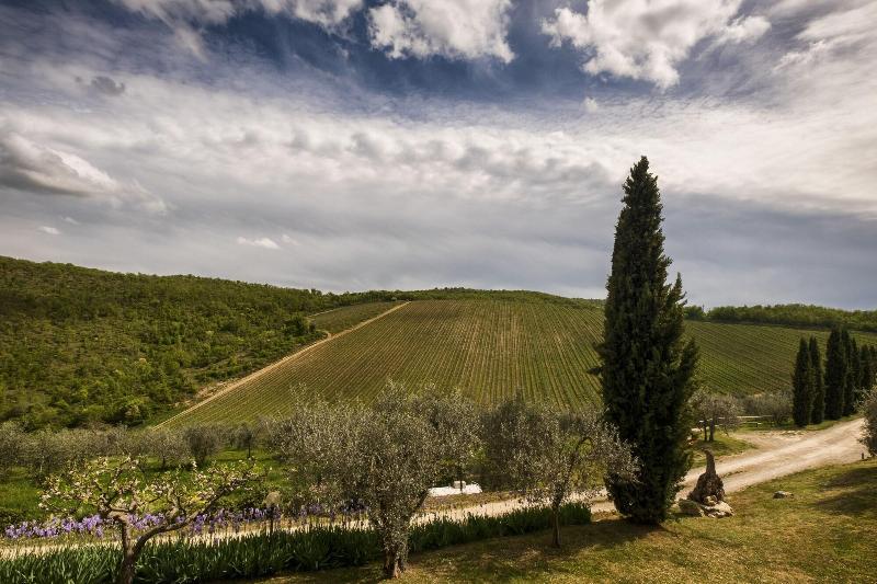 Querceto Di Castellina - Genel