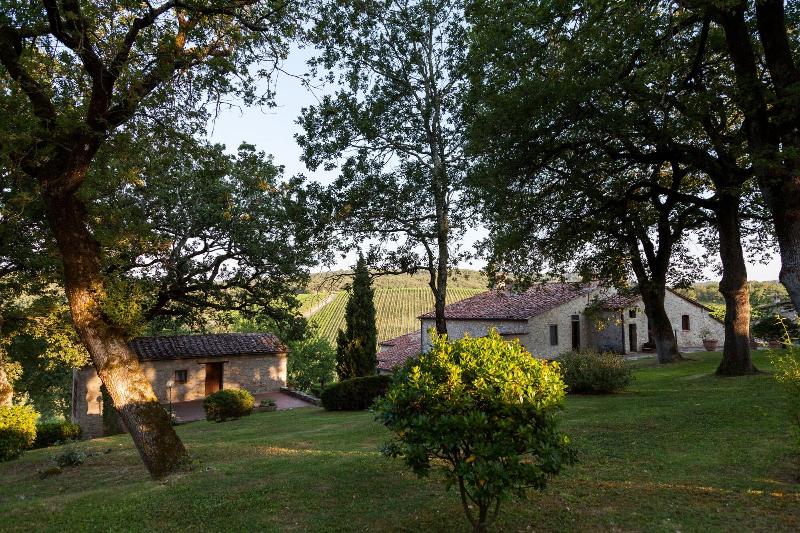 Querceto Di Castellina - Genel