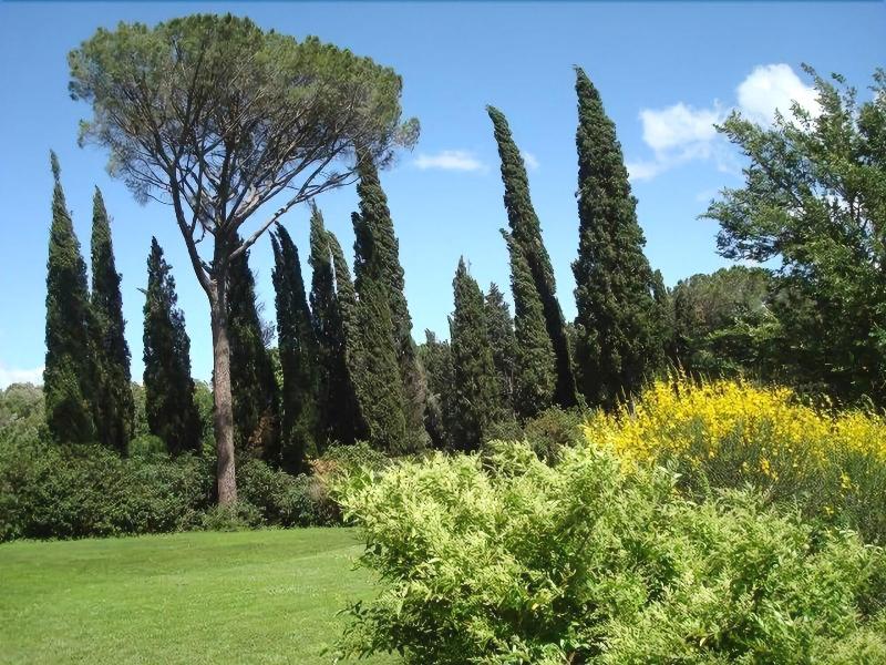 Al Giardino Degli Etruschi - Genel