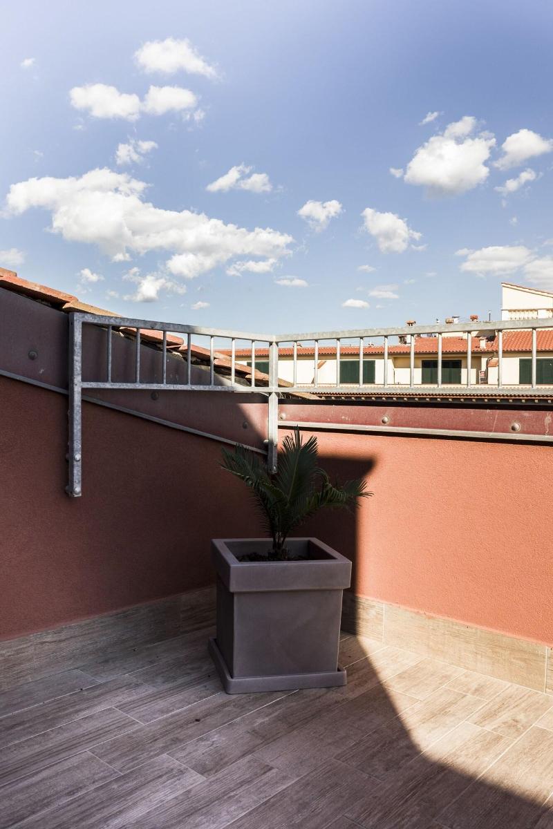 Agave in città - Genel