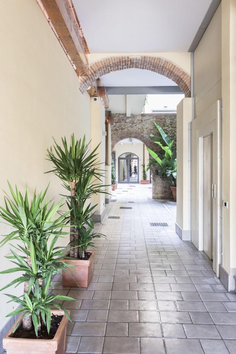 Agave in città - Genel