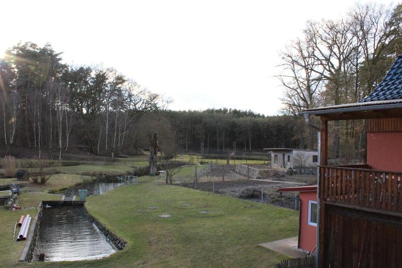 Pension & Gasthaus Kattenstieg - Genel