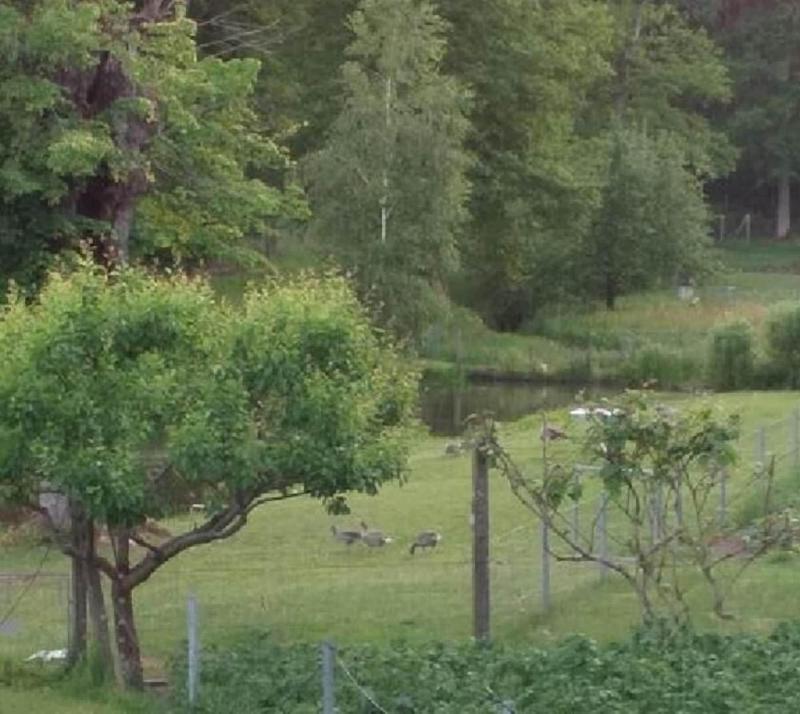 Pension & Gasthaus Kattenstieg - Genel