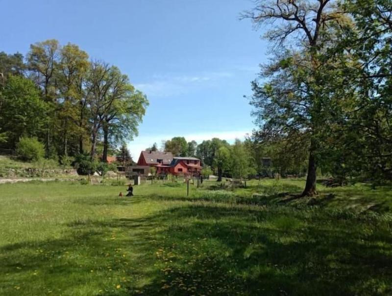 Pension & Gasthaus Kattenstieg - Genel
