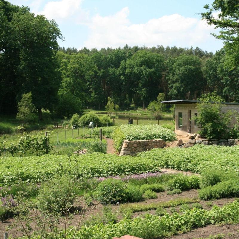 Pension & Gasthaus Kattenstieg - Genel