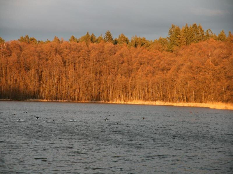 Pension & Gasthaus Kattenstieg - Plaj
