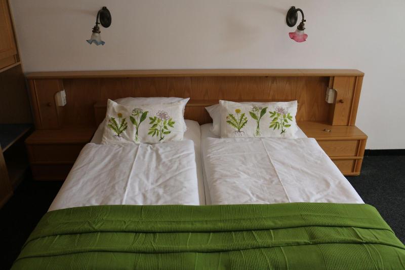 Hotel Torgauer Brauhof - Oda