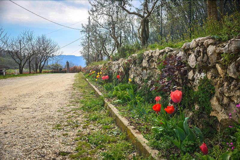 Bed And Breakfast La Quiete - Genel