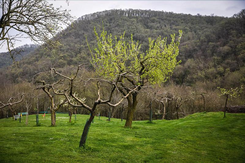 Bed And Breakfast La Quiete - Genel