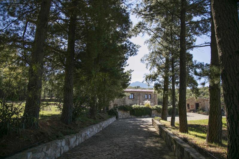 Casena Mongerrati - Genel