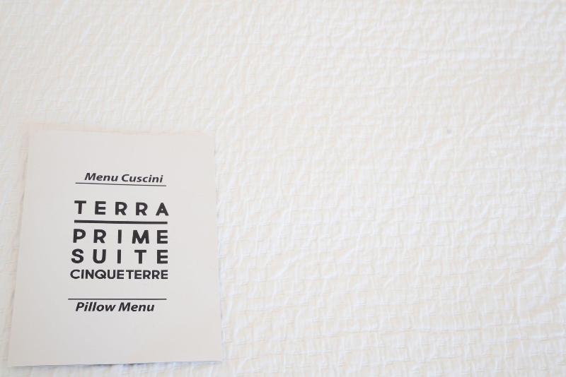 Terra Prime Suite - Lobi