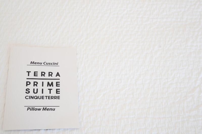 Terra Prime Suite - Lobi