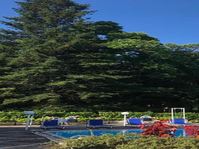 Mondial Park Hotel - Havuz