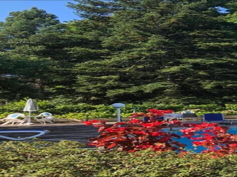 Mondial Park Hotel - Teras