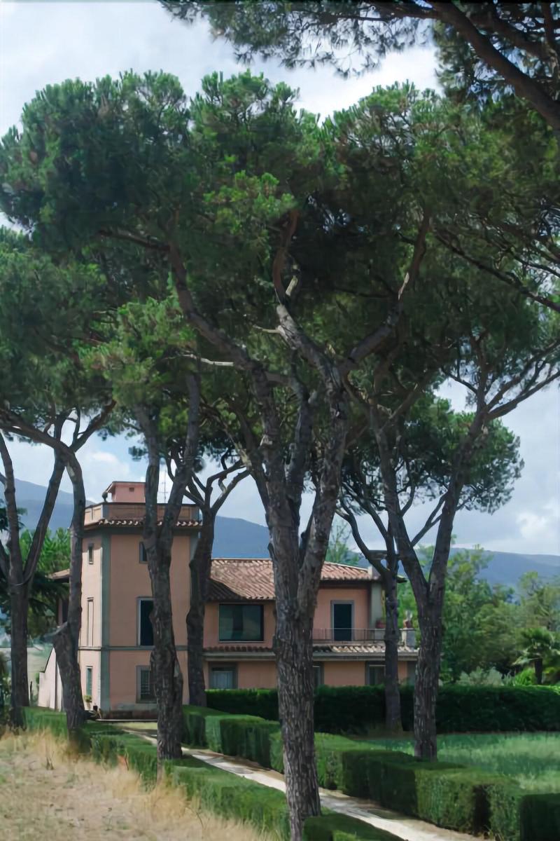 Tenuta Terre Dei Latini - Genel