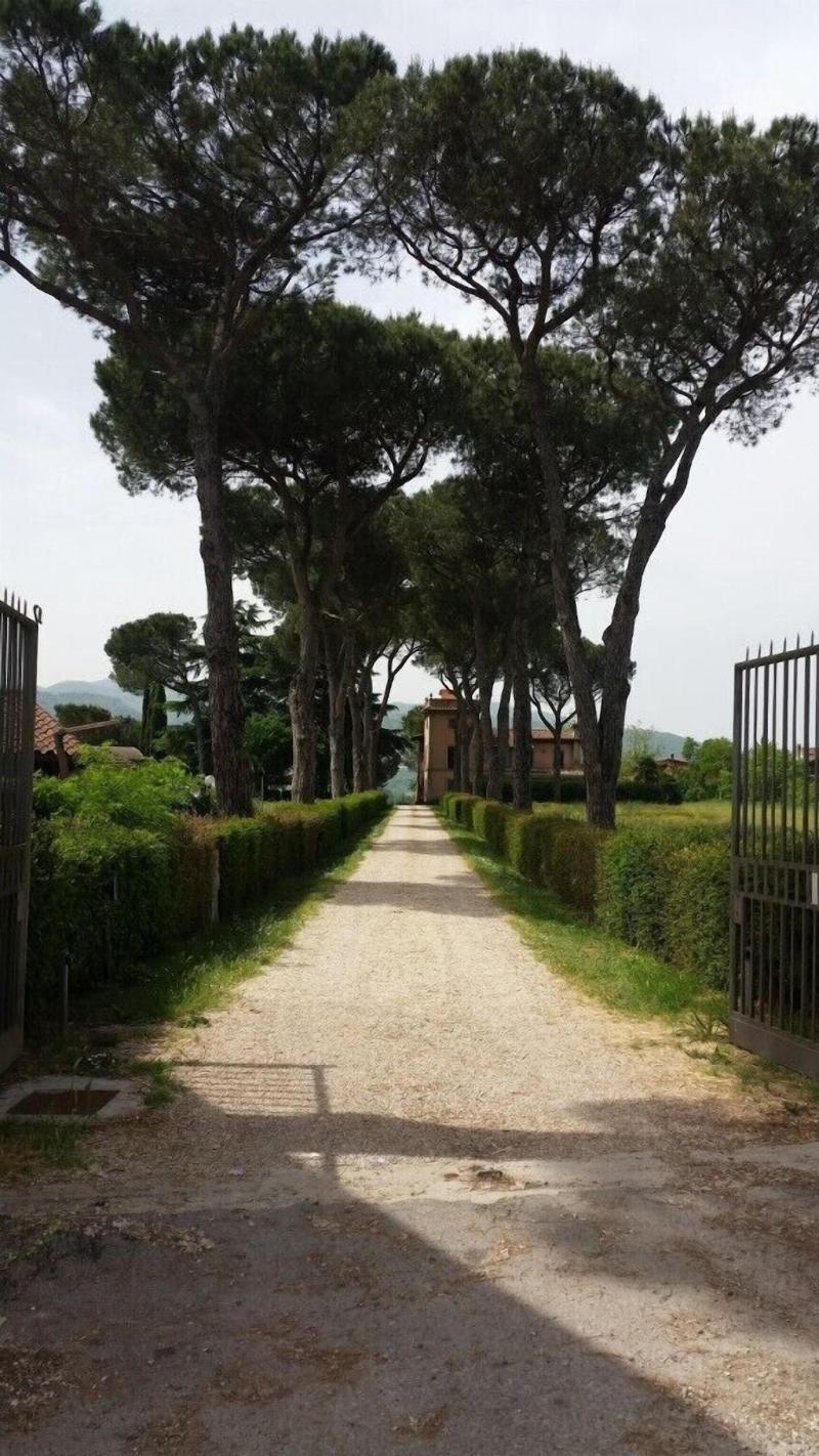 Tenuta Terre Dei Latini - Genel