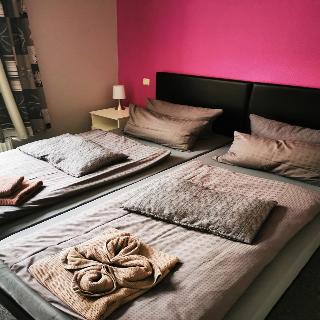 Hotel Dithmarscher Haus fotoÄŸrafÄ±