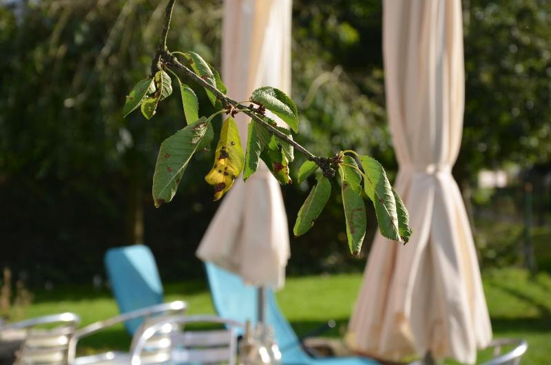 Kleines Landhotel Rehedyk - Genel