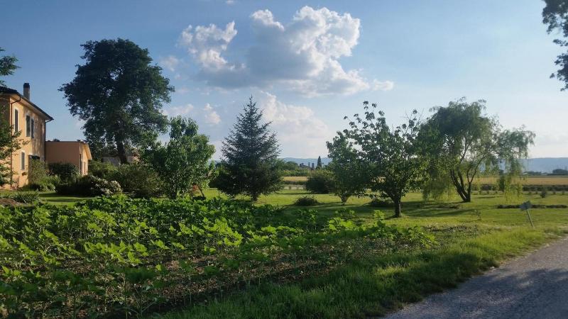 Bed And Breakfast Le Rose - Genel