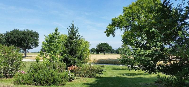 Bed And Breakfast Le Rose - Genel