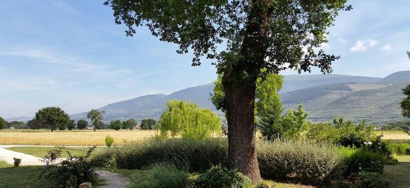 Bed And Breakfast Le Rose - Genel