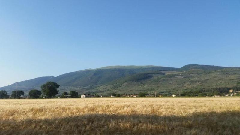 Bed And Breakfast Le Rose - Genel