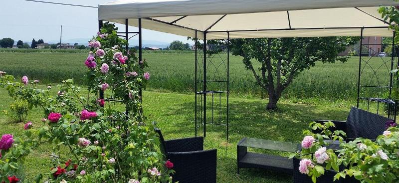 Bed And Breakfast Le Rose - Teras