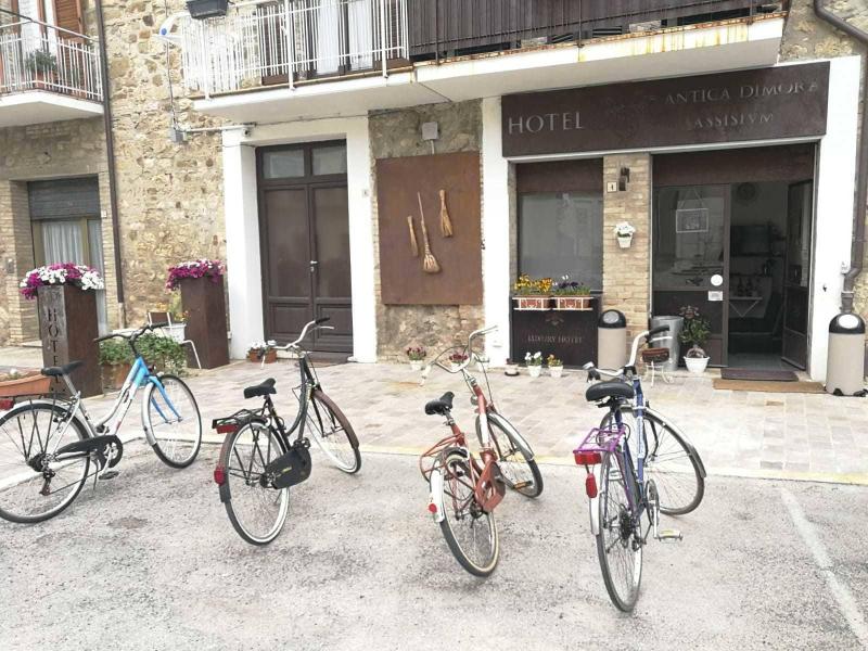 Assisivm Antica Dimora - Albergo Diffuso - Aktivite