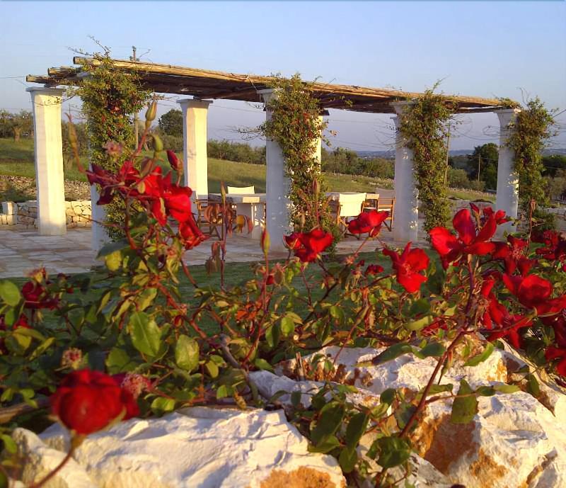 Masseria Serralta - Teras