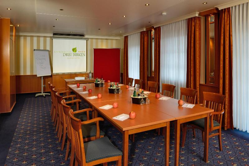 Kurhotel Drei Birken - Toplantı