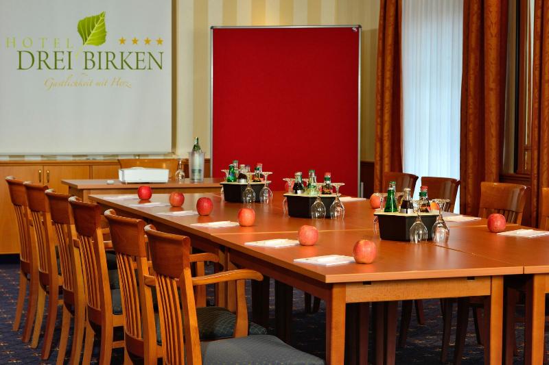 Kurhotel Drei Birken - Toplantı