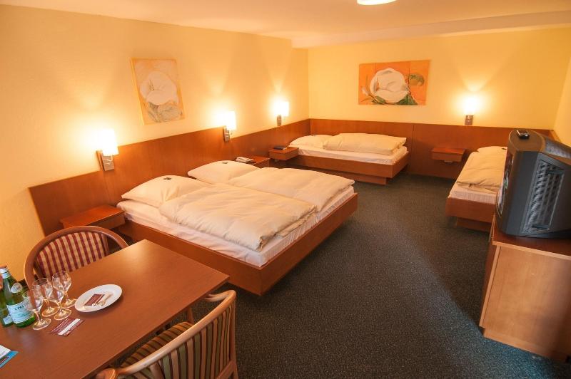Hotel Hellers Krug - Oda