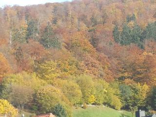 Landgasthof Kleine Kommode fotoÄŸrafÄ±